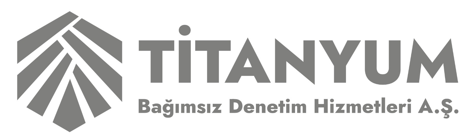 Titanyum Bağımsız Denetim